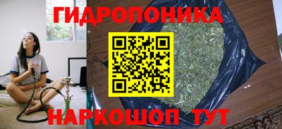 каннабис Будённовск