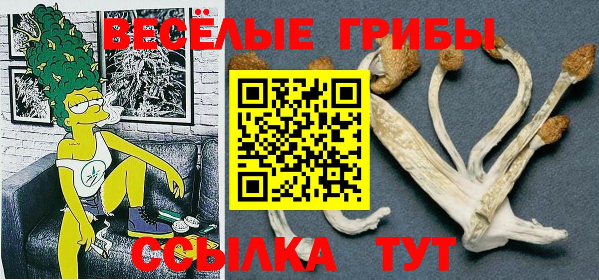 Псилоцибиновые грибы Magic Shrooms  Вход с VPN  Набережные Челны 